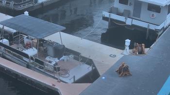 Weather camera view of Lake Powell Resorts and Marinas - Wahweap Marina.