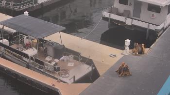 Weather camera view of Lake Powell Resorts and Marinas - Wahweap Marina.