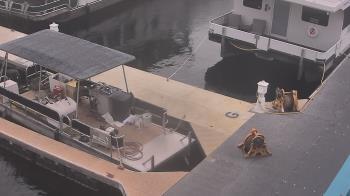 Weather camera view of Lake Powell Resorts and Marinas - Wahweap Marina.