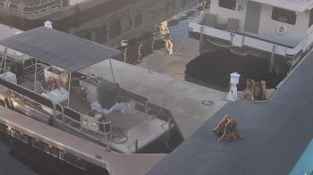 Weather camera view of Lake Powell Resorts and Marinas - Wahweap Marina.