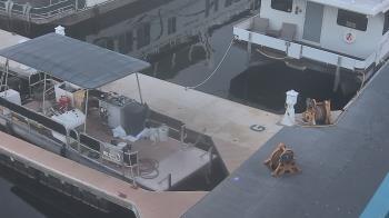 Weather camera view of Lake Powell Resorts and Marinas - Wahweap Marina.