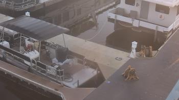 Weather camera view of Lake Powell Resorts and Marinas - Wahweap Marina.