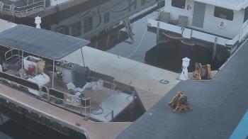 Weather camera view of Lake Powell Resorts and Marinas - Wahweap Marina.