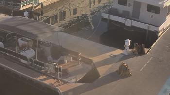 Weather camera view of Lake Powell Resorts and Marinas - Wahweap Marina.