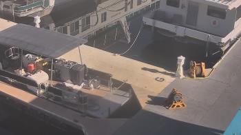 Weather camera view of Lake Powell Resorts and Marinas - Wahweap Marina.