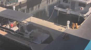 Weather camera view of Lake Powell Resorts and Marinas - Wahweap Marina.