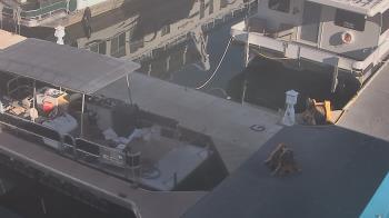 Weather camera view of Lake Powell Resorts and Marinas - Wahweap Marina.