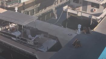 Weather camera view of Lake Powell Resorts and Marinas - Wahweap Marina.