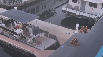 Weather camera view of Lake Powell Resorts and Marinas - Wahweap Marina.