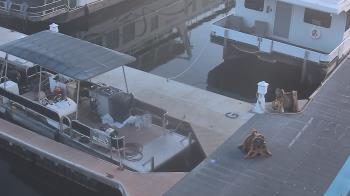 Weather camera view of Lake Powell Resorts and Marinas - Wahweap Marina.