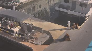 Weather camera view of Lake Powell Resorts and Marinas - Wahweap Marina.