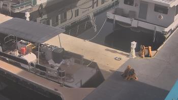 Weather camera view of Lake Powell Resorts and Marinas - Wahweap Marina.