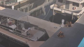 Weather camera view of Lake Powell Resorts and Marinas - Wahweap Marina.