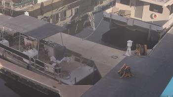 Weather camera view of Lake Powell Resorts and Marinas - Wahweap Marina.