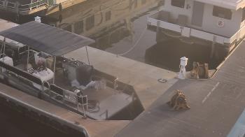 Weather camera view of Lake Powell Resorts and Marinas - Wahweap Marina.