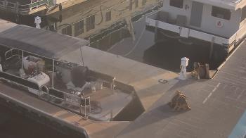 Weather camera view of Lake Powell Resorts and Marinas - Wahweap Marina.