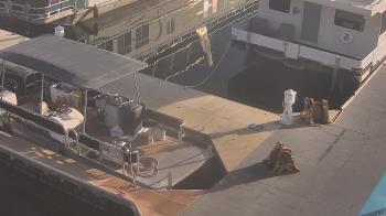 Weather camera view of Lake Powell Resorts and Marinas - Wahweap Marina.