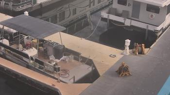Weather camera view of Lake Powell Resorts and Marinas - Wahweap Marina.