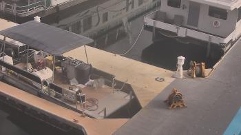 Weather camera view of Lake Powell Resorts and Marinas - Wahweap Marina.