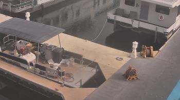 Weather camera view of Lake Powell Resorts and Marinas - Wahweap Marina.