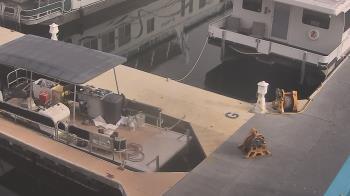 Weather camera view of Lake Powell Resorts and Marinas - Wahweap Marina.