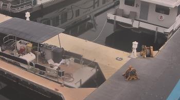 Weather camera view of Lake Powell Resorts and Marinas - Wahweap Marina.