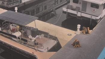 Weather camera view of Lake Powell Resorts and Marinas - Wahweap Marina.
