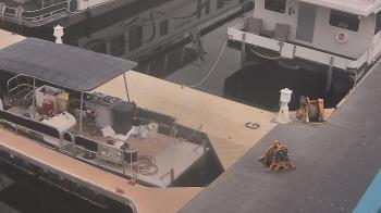 Weather camera view of Lake Powell Resorts and Marinas - Wahweap Marina.