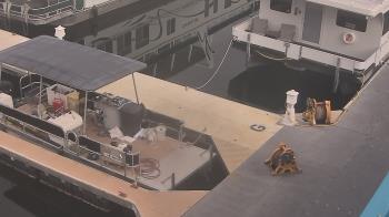Weather camera view of Lake Powell Resorts and Marinas - Wahweap Marina.