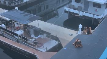 Weather camera view of Lake Powell Resorts and Marinas - Wahweap Marina.