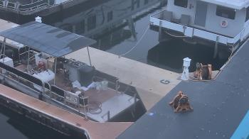 Weather camera view of Lake Powell Resorts and Marinas - Wahweap Marina.