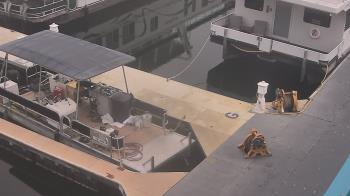 Weather camera view of Lake Powell Resorts and Marinas - Wahweap Marina.