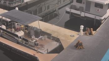 Weather camera view of Lake Powell Resorts and Marinas - Wahweap Marina.