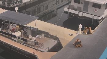 Weather camera view of Lake Powell Resorts and Marinas - Wahweap Marina.