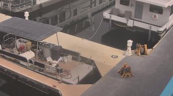 Weather camera view of Lake Powell Resorts and Marinas - Wahweap Marina.