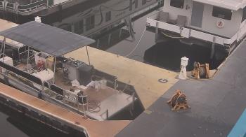 Weather camera view of Lake Powell Resorts and Marinas - Wahweap Marina.