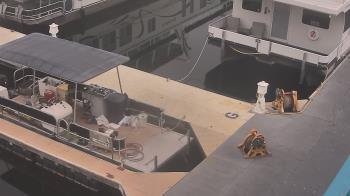 Weather camera view of Lake Powell Resorts and Marinas - Wahweap Marina.