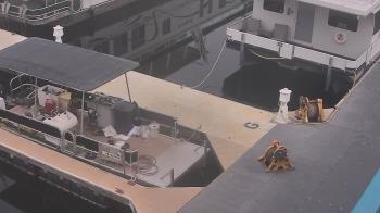 Weather camera view of Lake Powell Resorts and Marinas - Wahweap Marina.