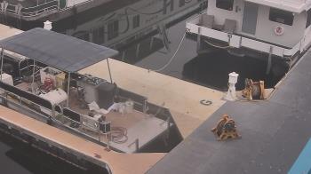 Weather camera view of Lake Powell Resorts and Marinas - Wahweap Marina.