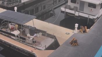 Weather camera view of Lake Powell Resorts and Marinas - Wahweap Marina.