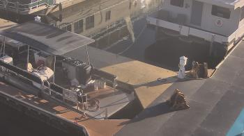 Weather camera view of Lake Powell Resorts and Marinas - Wahweap Marina.