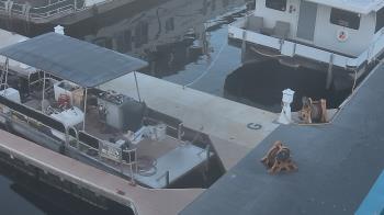 Weather camera view of Lake Powell Resorts and Marinas - Wahweap Marina.