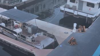 Weather camera view of Lake Powell Resorts and Marinas - Wahweap Marina.