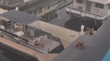 Weather camera view of Lake Powell Resorts and Marinas - Wahweap Marina.