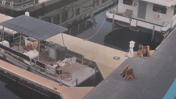 Weather camera view of Lake Powell Resorts and Marinas - Wahweap Marina.