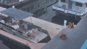 Weather camera view of Lake Powell Resorts and Marinas - Wahweap Marina.