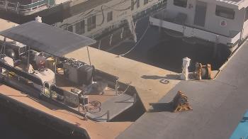 Weather camera view of Lake Powell Resorts and Marinas - Wahweap Marina.