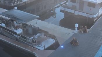 Weather camera view of Lake Powell Resorts and Marinas - Wahweap Marina.