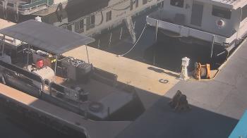 Weather camera view of Lake Powell Resorts and Marinas - Wahweap Marina.