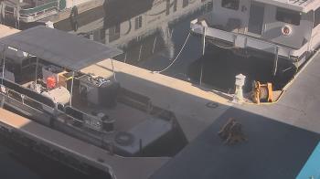 Weather camera view of Lake Powell Resorts and Marinas - Wahweap Marina.